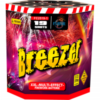 Салют Breezer FC2519-1 - главное фото